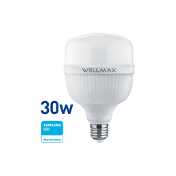 Lámpara WellMax Alta Potencia 30W