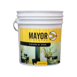 Pintura Mayor 20L